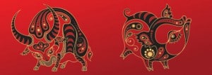 Kineski horoskop - Bik i Svinja