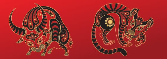 Kineski horoskop – Odnos Bika i Tigra