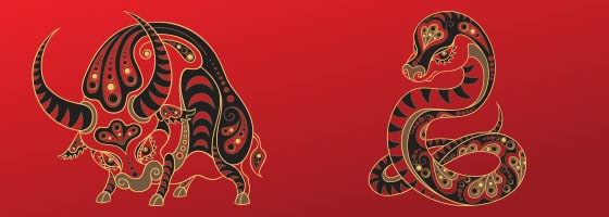 Kineski horoskop - bik i zmija